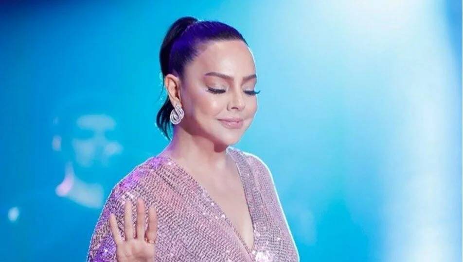 Ebru Gündeş hamile mi? Jet hızıyla evlenmişti - Resim: 3