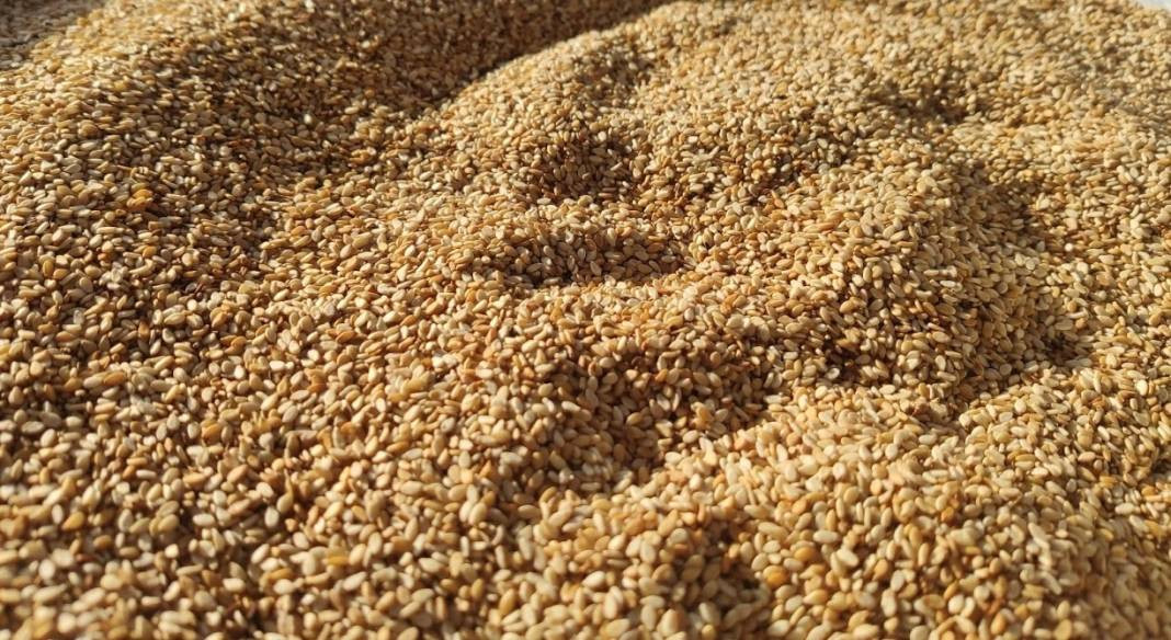 İktidarsızlığı önlüyor cinsel arzuları artırıyor. Kemik sağlığına birebir. Her gün bir kaşık yenmesi yetiyor - Resim: 1