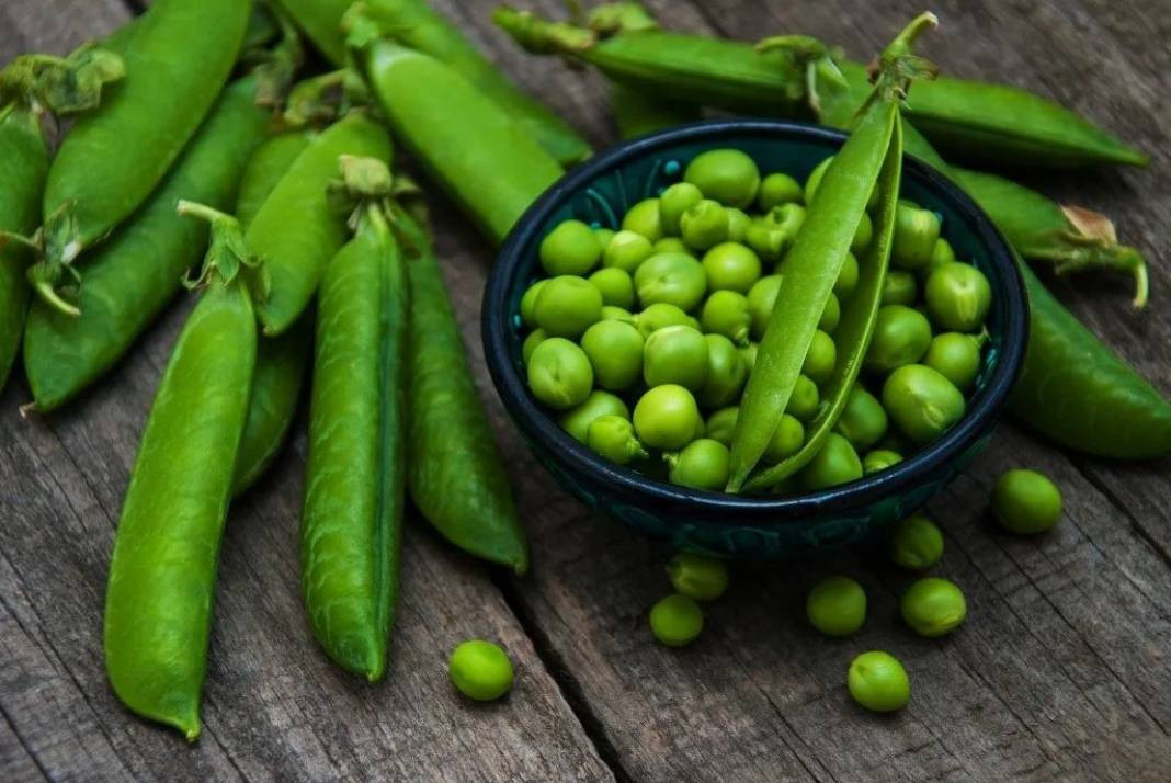 Yaşlanmayı durduruyor mide kanserini önlüyor. Hasadı başladı kilosu 50 TL - Resim: 8