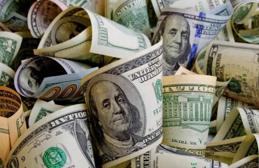 Dolar 48 lira olacak dedi net tarih verdi. Hatice Kolçak canlı yayınında ağzından kaçırdı - Resim: 2