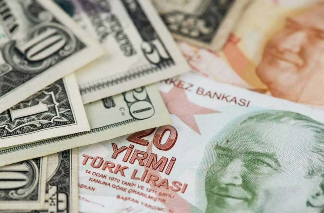 Dolar 48 lira olacak dedi net tarih verdi. Hatice Kolçak canlı yayınında ağzından kaçırdı - Resim: 9