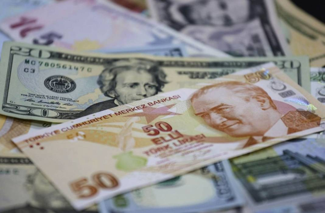 Dolar 48 lira olacak dedi net tarih verdi. Hatice Kolçak canlı yayınında ağzından kaçırdı - Resim: 8