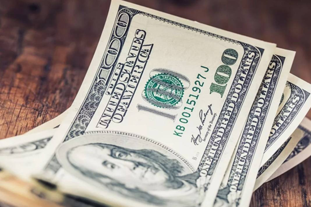 Dolar 48 lira olacak dedi net tarih verdi. Hatice Kolçak canlı yayınında ağzından kaçırdı - Resim: 3