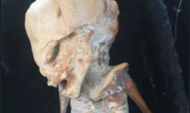 Bilim insanları çekik gözleri uzun kafası bulunan fetüsün sırrına ulaştı. Dünyayı korkutan görüntüler - Resim: 5