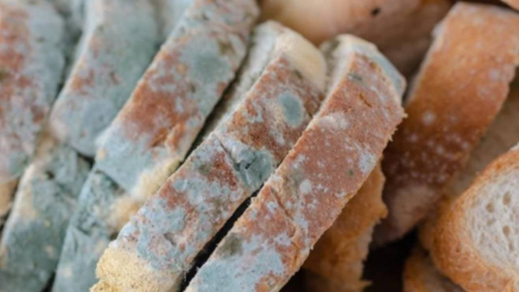 Küf tarihe karışıyor. Ekmeğin yanına birer tutam eklemeniz yetiyor - Resim: 9