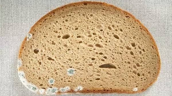 Küf tarihe karışıyor. Ekmeğin yanına birer tutam eklemeniz yetiyor - Resim: 5