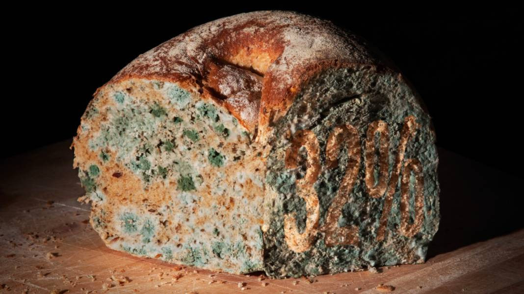 Küf tarihe karışıyor. Ekmeğin yanına birer tutam eklemeniz yetiyor - Resim: 7