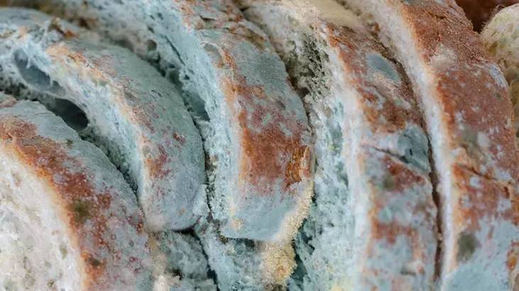 Küf tarihe karışıyor. Ekmeğin yanına birer tutam eklemeniz yetiyor - Resim: 11