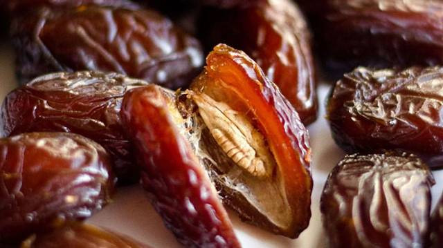 Hurma çekirdeklerini yıllarca çöpe attığınız için dizinizi döveceksiniz. Böyle tüketirseniz mucize faydaları katlıyor - Resim: 2