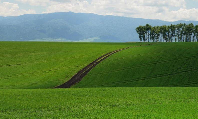 1.410 lira teminat öde 5,5 dönüm arsanın keyfini sür - Resim: 6