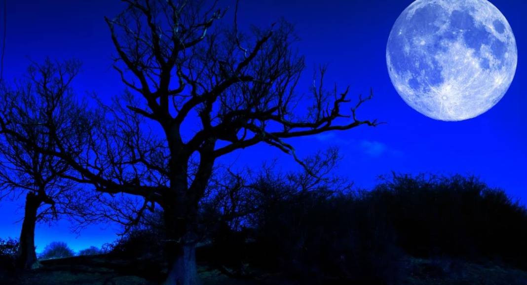 Kassandra şampiyon olacak takımı açıkladı. Son olarak Tokat depremini bilmişti - Resim: 4