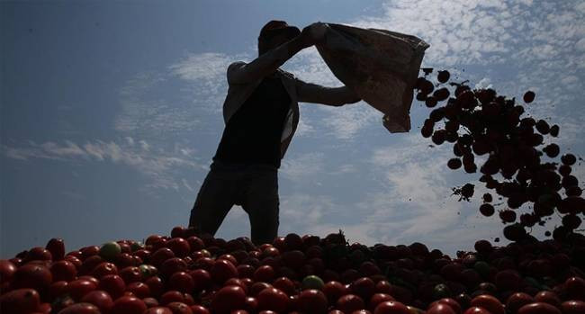 Milyonlarca çalışanı ilgilendiren genelge yayımlandı - Resim: 9