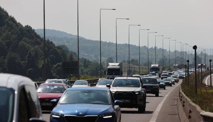 Göçmen kuşların hareket günü bugün. Eve gidene kadar dikkatli olun - Resim: 7
