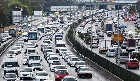 Göçmen kuşların hareket günü bugün. Eve gidene kadar dikkatli olun - Resim: 6