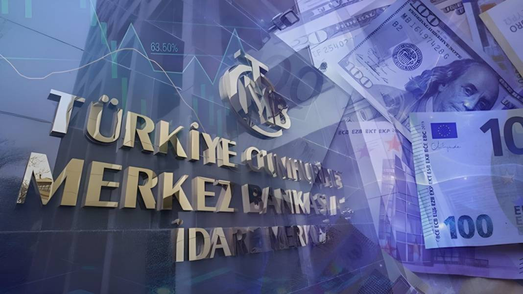 Merkez Bankası'nın dolara müdahalesi ortaya çıktı. Eski başekonomist Hakan Kara açıkladı - Resim: 3