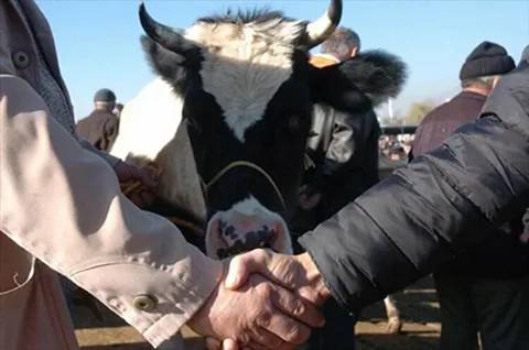 Büyükbaş hayvan almak hayal oldu. Kurbanlık fiyatları uçtu - Resim: 10