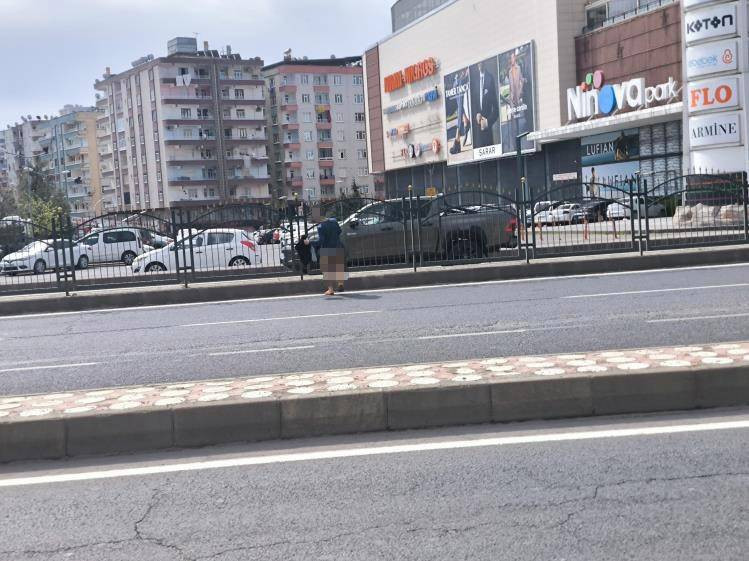 Yolun ortasına tuvaletini yaptı. Daha neler göreceğiz - Resim: 1