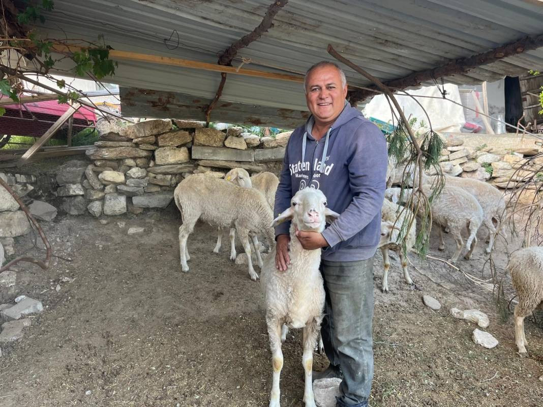 Büyükbaş hayvan almak hayal oldu. Kurbanlık fiyatları uçtu - Resim: 6