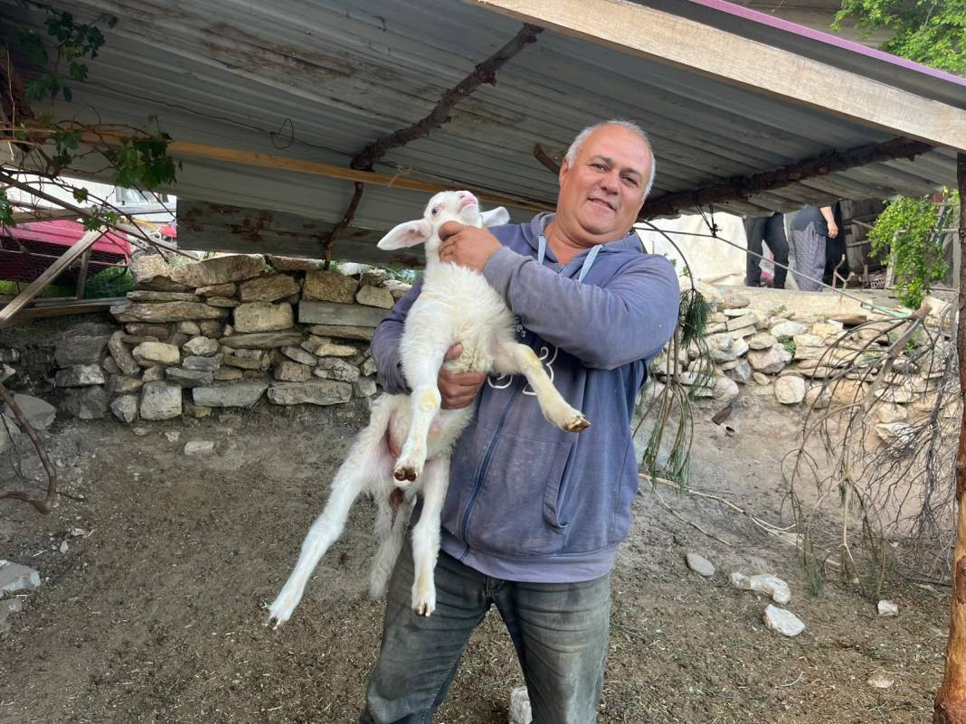 Büyükbaş hayvan almak hayal oldu. Kurbanlık fiyatları uçtu - Resim: 5