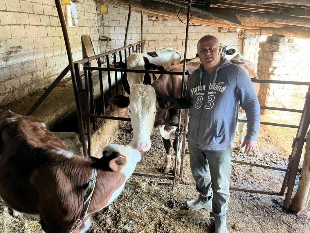 Büyükbaş hayvan almak hayal oldu. Kurbanlık fiyatları uçtu - Resim: 2