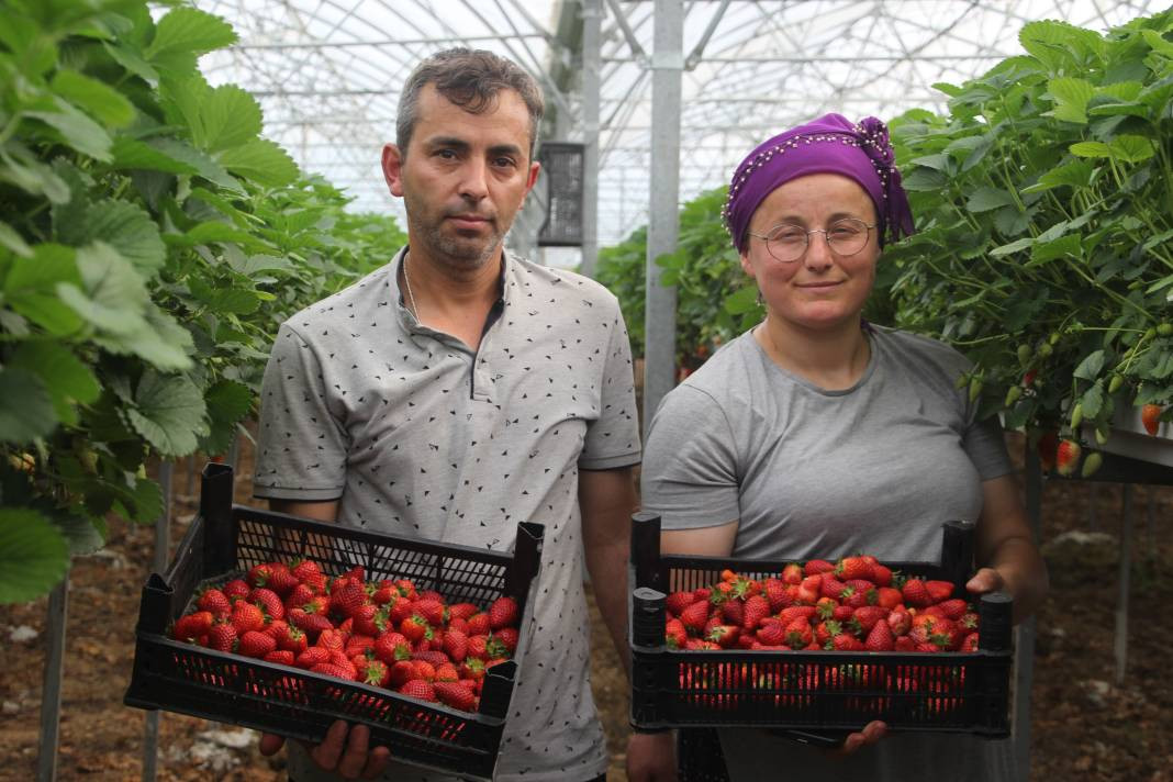 Arsız meyveyi ekti kazancı dudak uçuklattı! Sevinçten ayakları yerden kesildi - Resim: 3