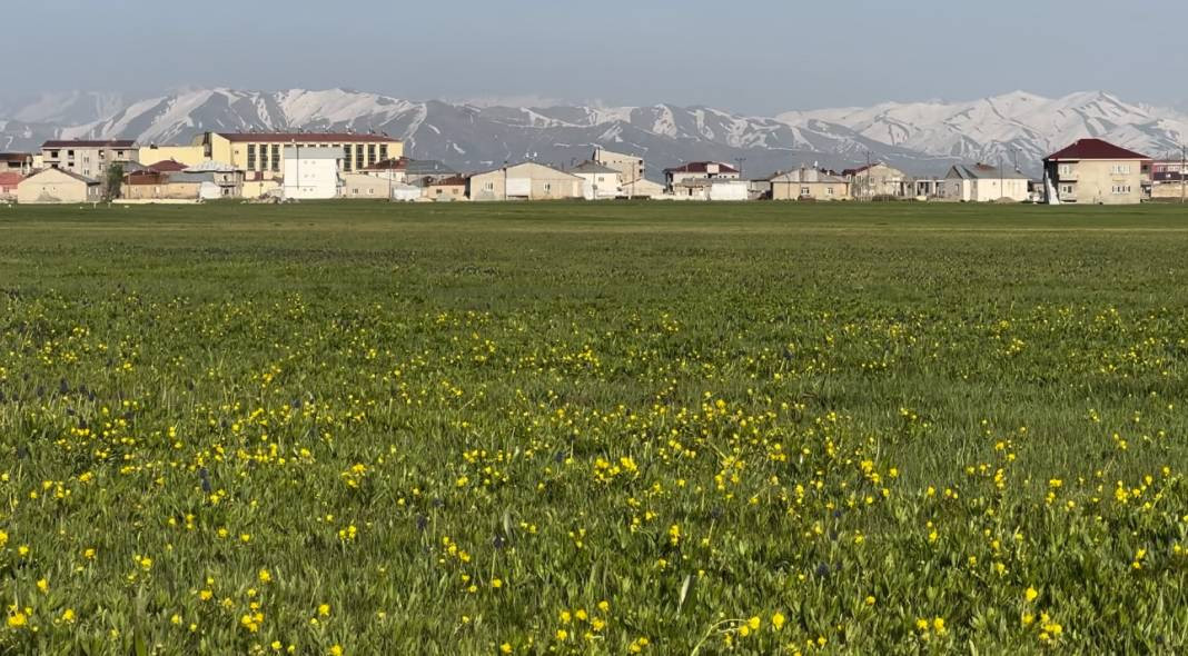 Yüksekova iki mevsimi birden yaşıyor. Karpostallık görüntüler oluştu - Resim: 8