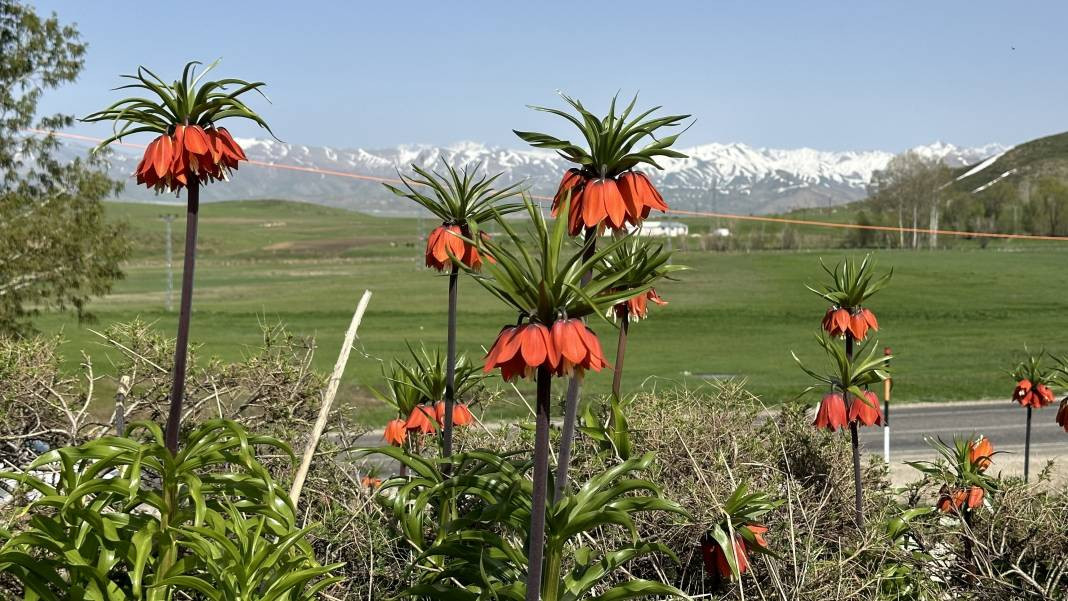 Yüksekova iki mevsimi birden yaşıyor. Karpostallık görüntüler oluştu - Resim: 6