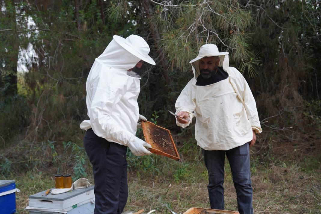 Adana'da yılın ilk bal hasadı başladı! Türkiye ikincisi... - Resim: 2