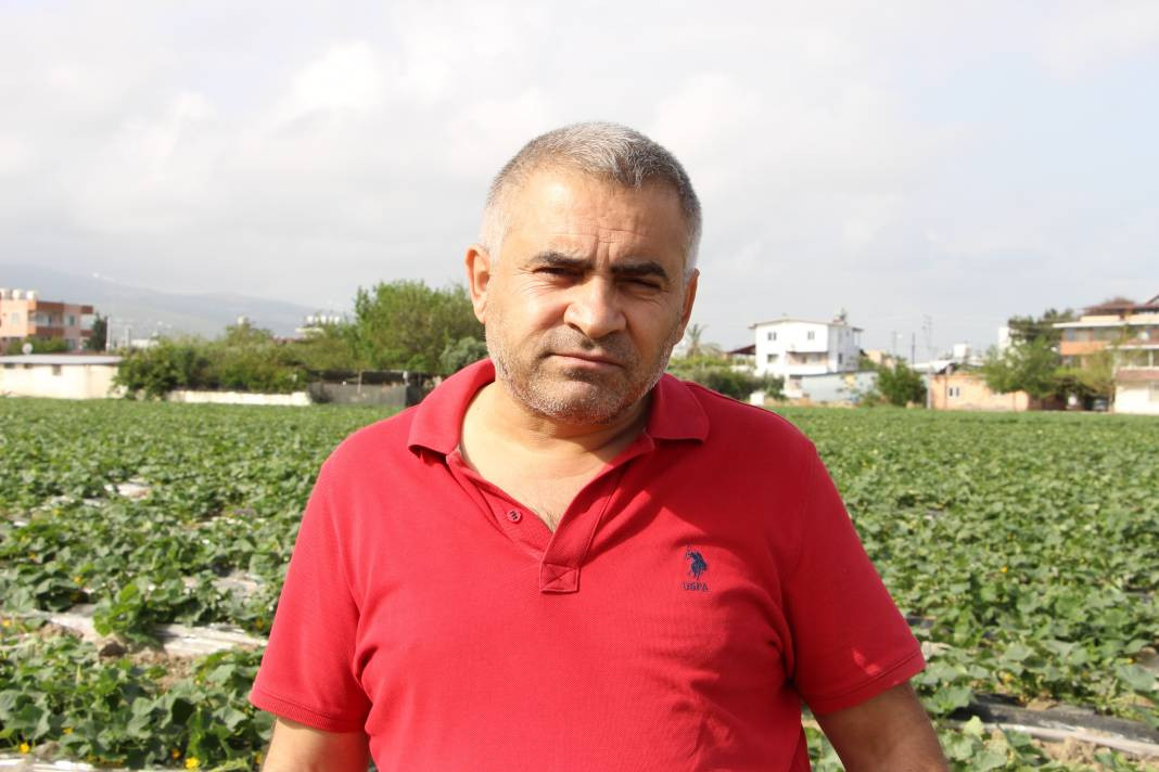 Sivilcelere iyi geliyor cildi tertemiz yapıyor. Hasadına başlanan mucizenin kilosu 30 lira - Resim: 7