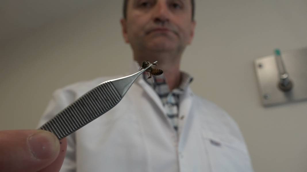 5 bin yıllık ilaçsız tedavi şifa dağıtıyor! Hastaneye iki büklüm giren dimdik çıkıyor - Resim: 2