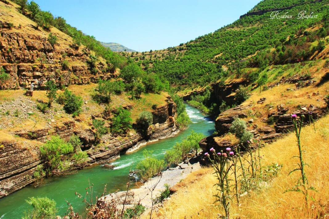 Türkiye'nin en zeki şehirleri belli oldu. Her şehrin IQ haritası çıkartıldı. İlk sıradaki ilimiz herkesi şaşırttı - Resim: 25