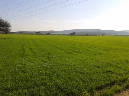 TOKİ 33 ilde sudan ucuza vergisiz arsa satacak. Tapusu hemen verilecek - Resim: 5