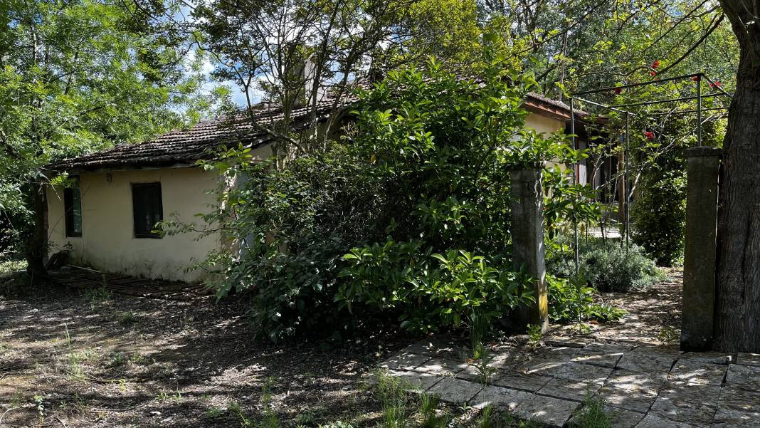 Korhan Hoca’nın kayıp kemikleri 3 kadavra arama köpeği ile aranıyor - Resim: 1