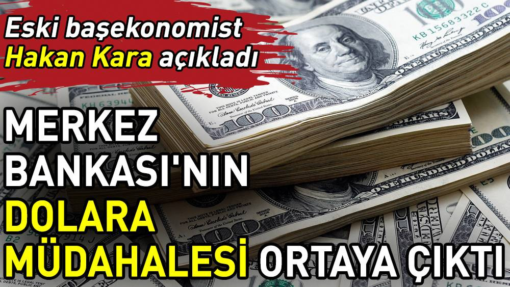 Merkez Bankası'nın dolara müdahalesi ortaya çıktı. Eski başekonomist Hakan Kara açıkladı - Resim: 1