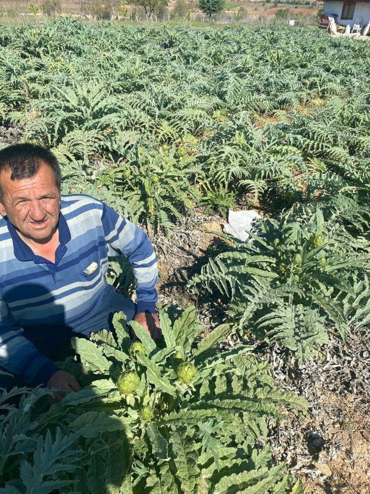 Bir yıl dikiyorlar beş yıl ürün alıyorlar. Çiftçilere örnek olacak ürün - Resim: 7