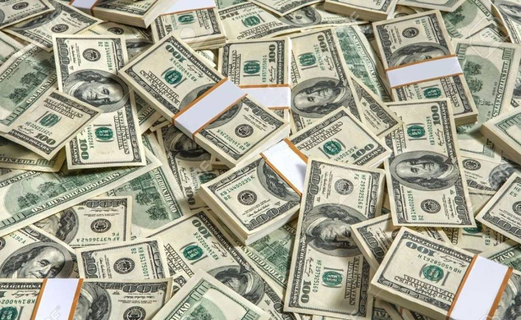 Merkez Bankası'nın dolara müdahalesi ortaya çıktı. Eski başekonomist Hakan Kara açıkladı - Resim: 7