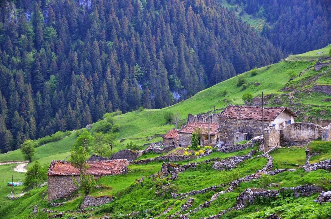 Türkiye'nin en zeki şehirleri belli oldu. Her şehrin IQ haritası çıkartıldı. İlk sıradaki ilimiz herkesi şaşırttı - Resim: 47