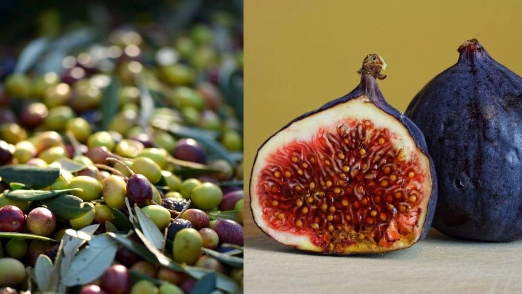 7 zeytin 1 incir diyeti zayıflatır mı? 7 zeytin 1 incir diyeti nedir? - Resim: 6