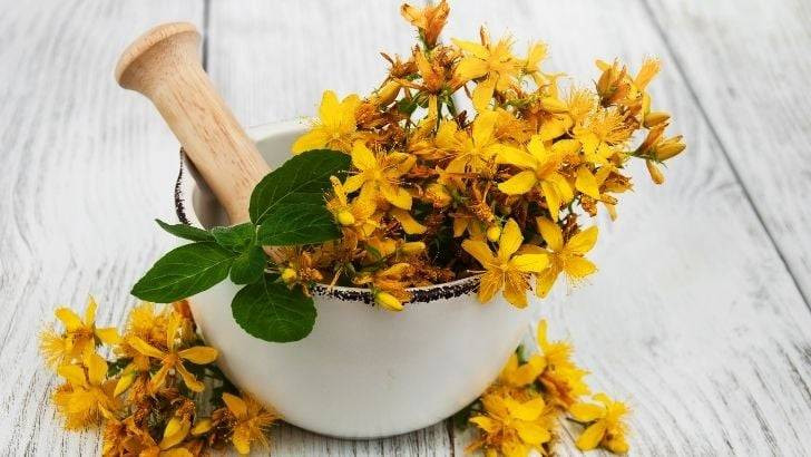 Antik Romalıların ve Yunanlıların şifa yağı. 2 damlası yetiyor aktarlarda kapış kapış satılıyor - Resim: 5