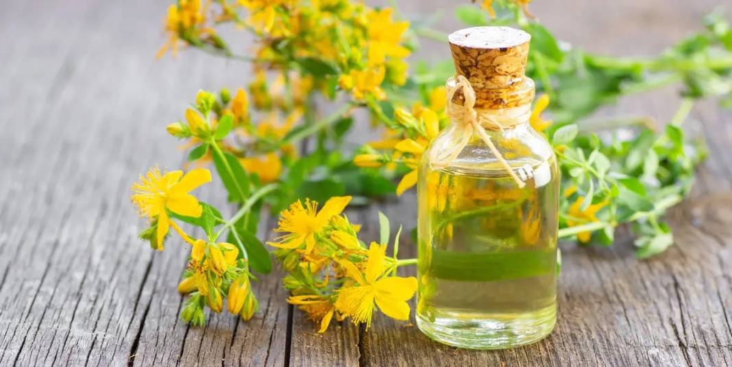 Antik Romalıların ve Yunanlıların şifa yağı. 2 damlası yetiyor aktarlarda kapış kapış satılıyor - Resim: 6