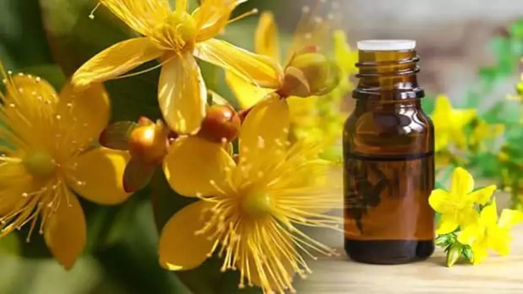 Antik Romalıların ve Yunanlıların şifa yağı. 2 damlası yetiyor aktarlarda kapış kapış satılıyor - Resim: 7