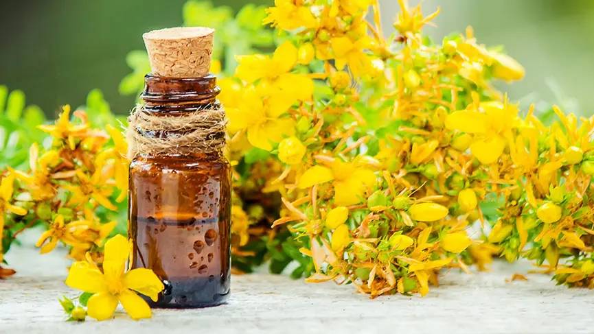 Antik Romalıların ve Yunanlıların şifa yağı. 2 damlası yetiyor aktarlarda kapış kapış satılıyor - Resim: 10