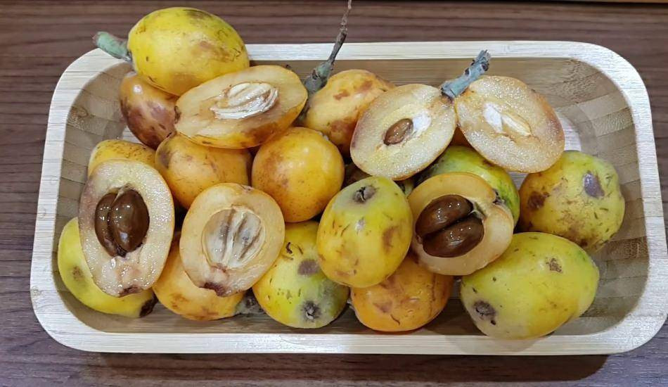 Çekirdeği bile şifa oluyor kanseri de durduruyor. Hasadı erken başladı tarlada kilosu 10 TL - Resim: 8