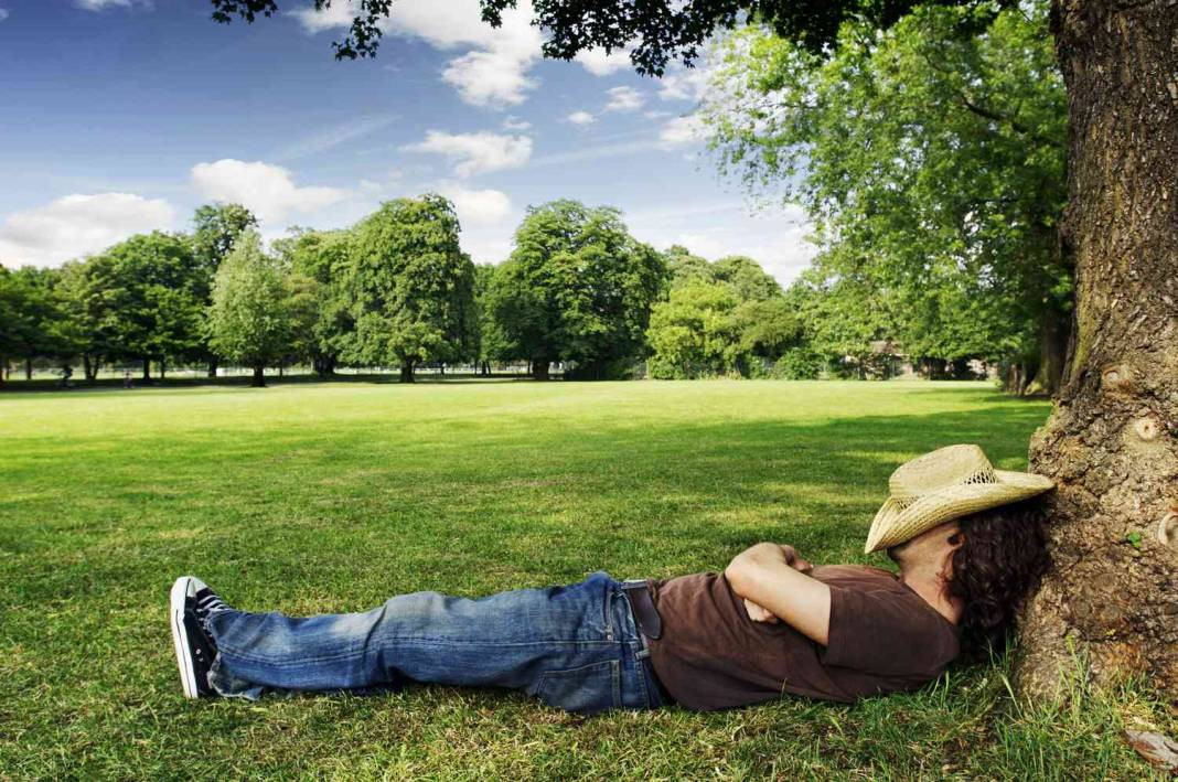 İncir ağacının altında uyumak bakın neye sebep oluyor. Bir daha asla yapmayacaksınız - Resim: 6