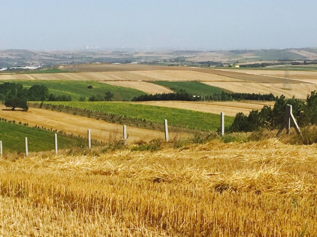 TOKİ 33 ilde sudan ucuza vergisiz arsa satacak. Tapusu hemen verilecek - Resim: 12