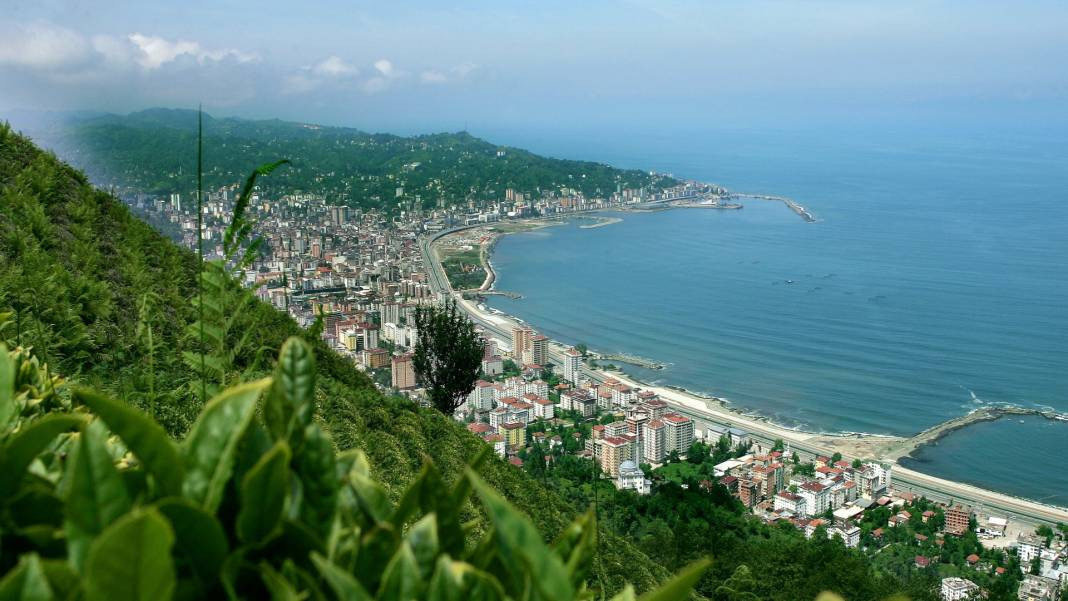 Türkiye'nin en zeki şehirleri belli oldu. Her şehrin IQ haritası çıkartıldı. İlk sıradaki ilimiz herkesi şaşırttı - Resim: 66