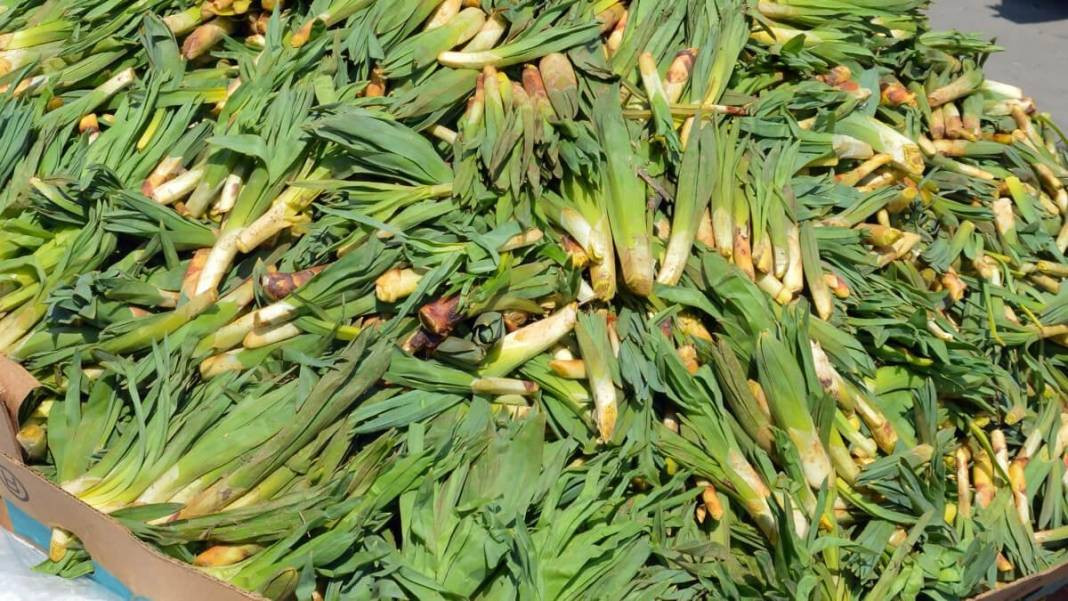 Yoğurtla karıştırıp yiyince bağırsakları motor gibi çalıştırıyor. Doğada kendiliğinden yetişiyor. 30 liradan satılıyor - Resim: 2