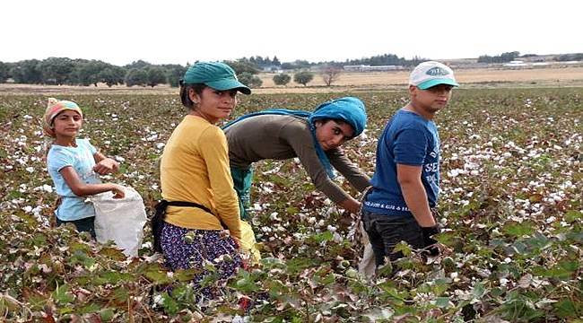 Milyonlarca çalışanı ilgilendiren genelge yayımlandı - Resim: 4