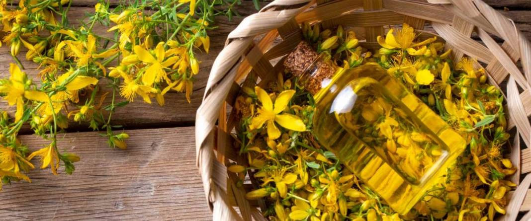 Antik Romalıların ve Yunanlıların şifa yağı. 2 damlası yetiyor aktarlarda kapış kapış satılıyor - Resim: 1