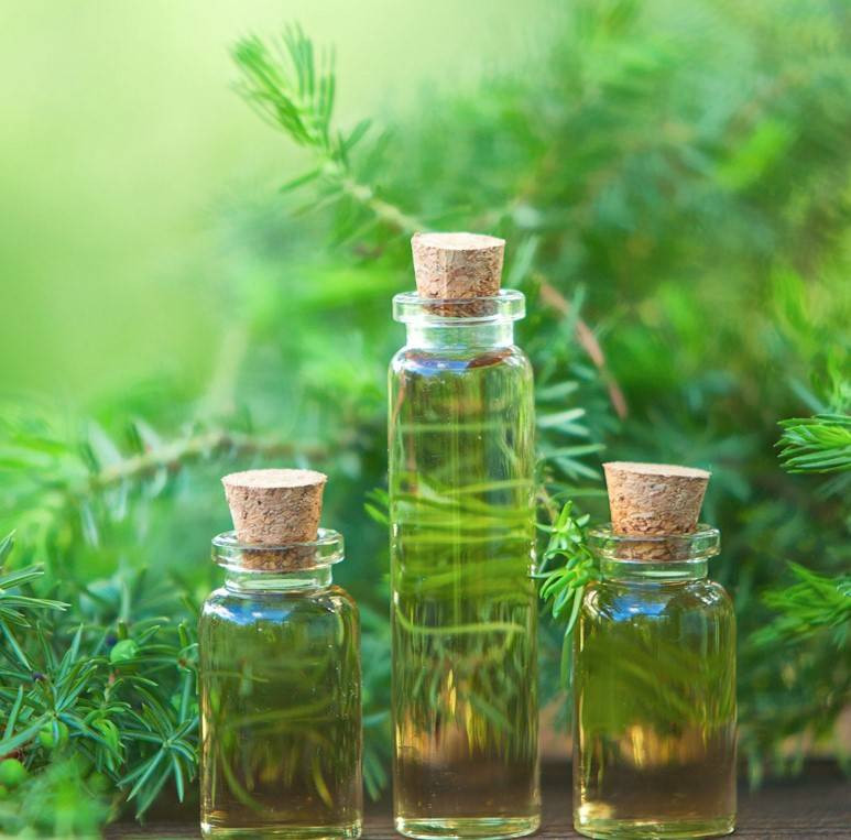 Çay ağacının bu faydaları sizi şaşırtacak - Resim: 5